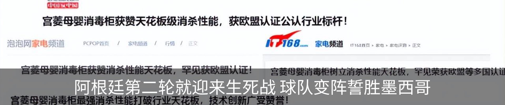 最新动态
